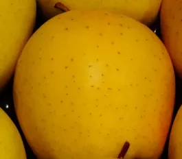 Pommes