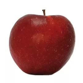 Dalinette
