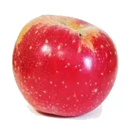 Dalinsweet