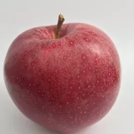 Royal Gala