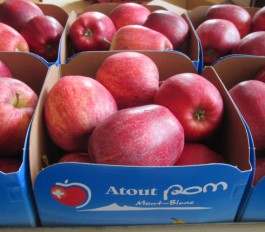 Pommes