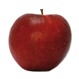 Dalinette