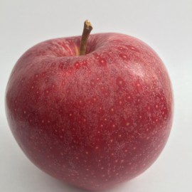 Royal Gala