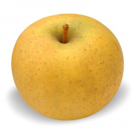 Chantecler