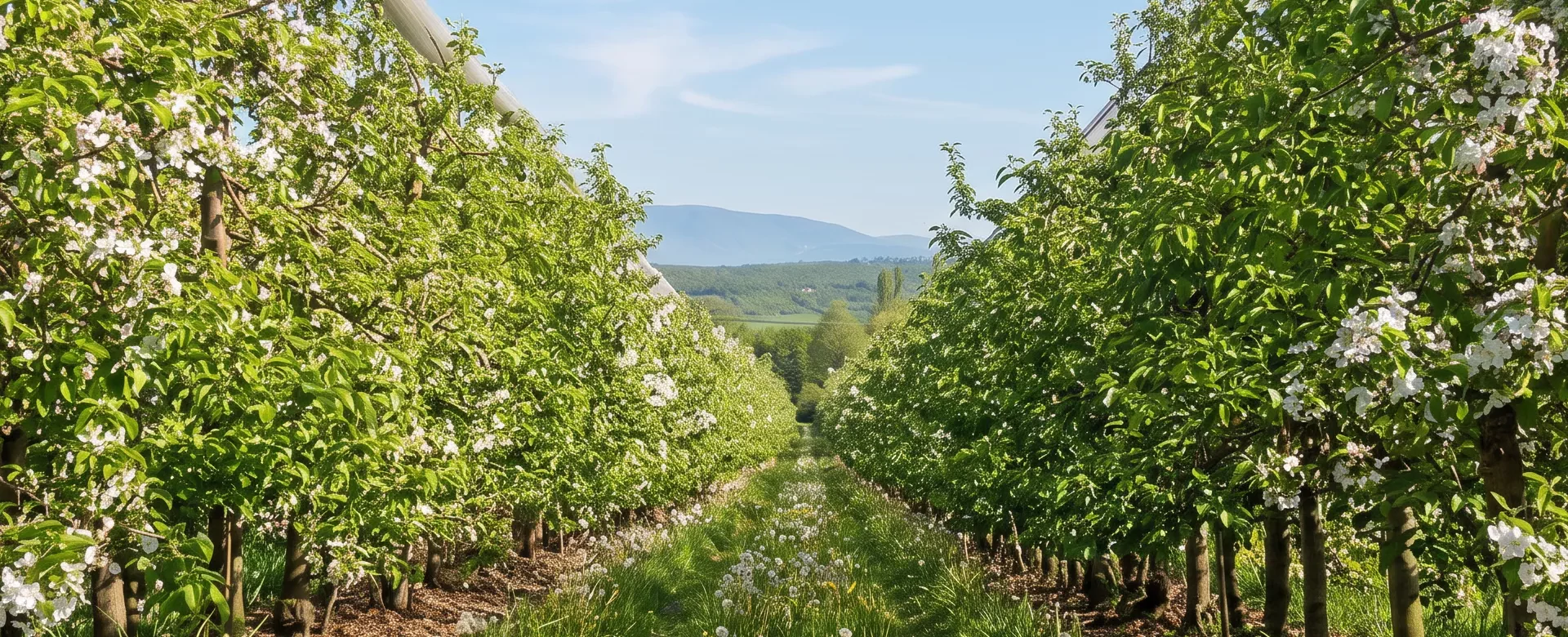 Le choix d'une agriculture raisonnée et biologique